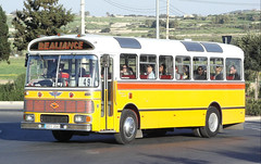 DBY 300 to DBY 399 : MALTA BUS