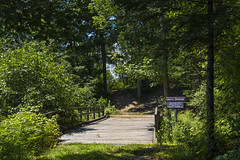 Reeds Brook Trails