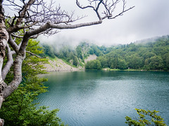 Saint Lake, The Lake, The Forest, The Path, Panorama, Along Lake