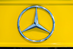Mercedes : Vans, Trucks & Buses