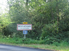 Petit Attiches, Forêt de Phalempin