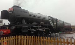 Steam Locomotives 