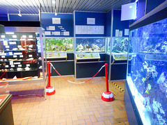 Dunkerque, Aquarium