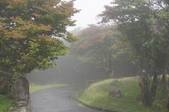 Mt. Gozaisho in Aug, 2020