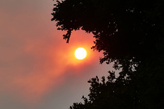 Wildfire smoke over San Jose