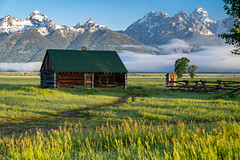Grand Teton National Park - June 2020
