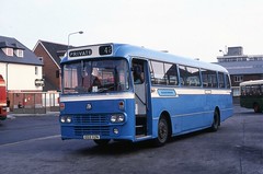 Blue Bus Services