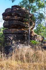 Road Views - Kakadu NP to Darwin