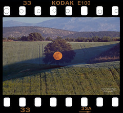 Kodak Ektachrome E100