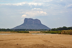 Mozambique: Safari para a Reserva do Niassa