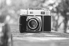 cameras and photo equipment