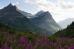 Glacier National Park, Aug 2020