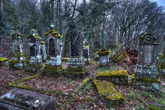 Der Wald Friedhof (FRA)
