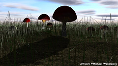 Red Mushroom Concept