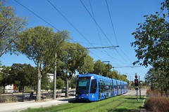 Alstom Citadis 401 n°2019  -  Montpellier, TaM
