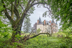 Château Assassymphonie