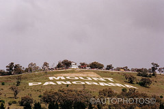 King of the Mountain - Peter Brock
