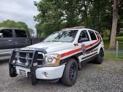 Ambulances and EMS Vehicles