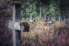 Cemetery of insane