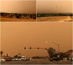 California`s Historic Wildfire Season 2020