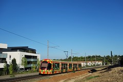 Alstom Citadis 302 n°2051  -  Montpellier, TaM