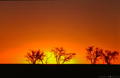 1998 Namibia