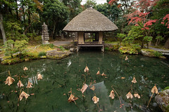 (Kyoto) Hakusa Sonsō 白沙村荘
