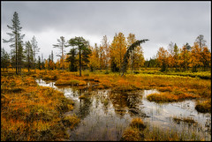 Urho Kekkonen Nationalpark
