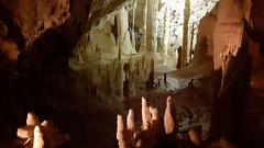 Conero 2020. Grotte di Frasassi.