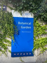 09/2020 Botanischer Garten
