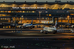 2020-09-16 羽田空港第1旅客ターミナル展望デッキ