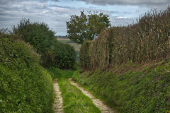 Path - Anvin, Pas de Calais