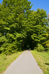 The Hart - Montague Bike Trail