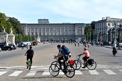 Brussels car free day
