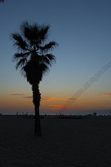Santa Monica Sunset  091820