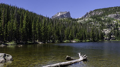 2020-07 Rocky Mountain National Park