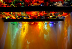 Chihuly Gardens Seattle, September 2020
