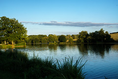  l'étang Fouché à Arnay-le- Duc