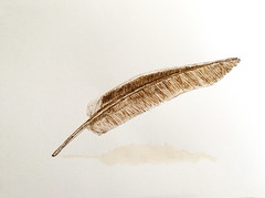 Une plume