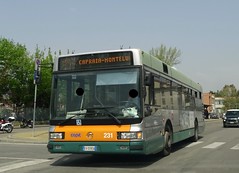 COPIT Pistoia buses