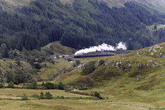 Steam in the Landscape
