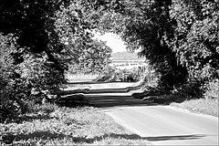 The Lakes Dunflat Road In Monochrome