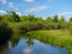 Bibon Swamp Paddle