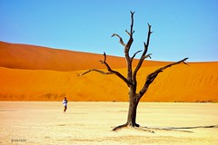 NAMIBIA-BOTSWANA