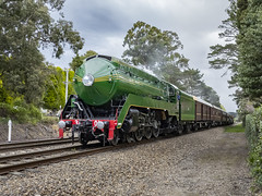 Locomotives - C38 Class Steam
