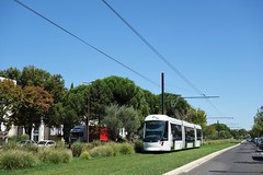 Alstom Citadis Compact n°111  -  Avignon, ORIZO