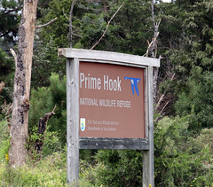 Prime Hook. National Wildlife Refuge,Delaware 8-2020