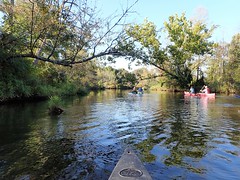 Canoeing the Upper Christina River 10-3-20
