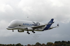 Airbus Transport International - F-GXLH
