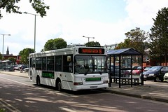 Big Green Bus Company